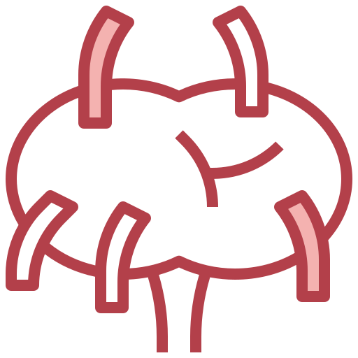 Lymph nodes